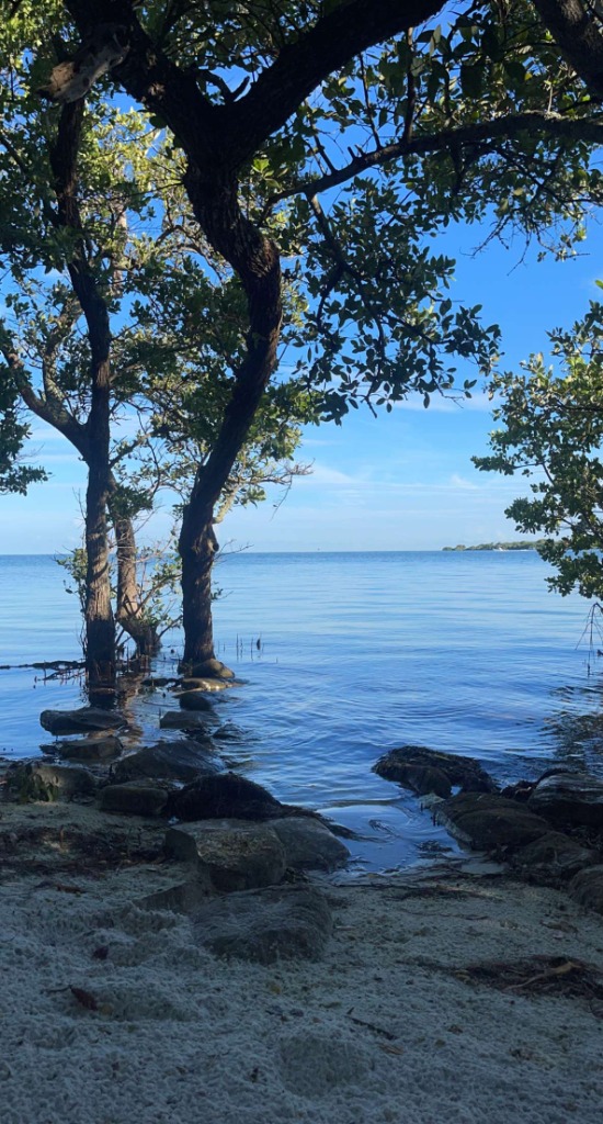 Family-friendly Bradenton and Sarasota trip planning