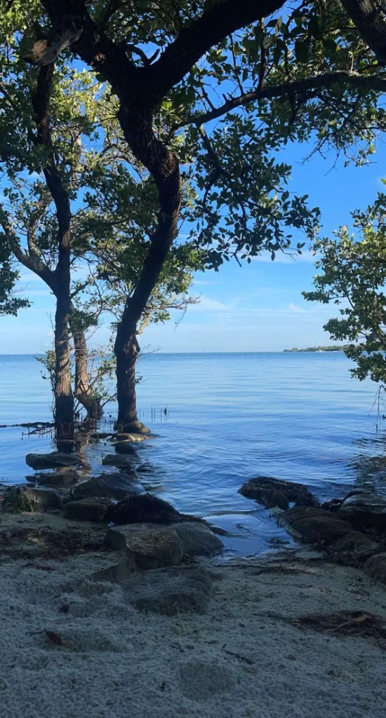 Anna Maria Island area guide